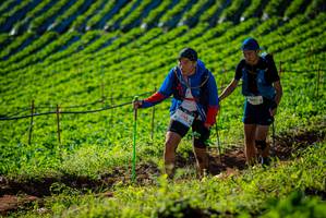 BIB: 
                            <button type="button" onclick="openModal(19160455)" class="btn btn-primary btn-sm float-right btn-popup" data-toggle="modal" data-target=".modal-high-quality">
                        <i class="fas fa-shopping-cart"></i> Add to Cart
                    </button>
                                            <button type="button" onclick="isThisMe(19160455, true)" class="btn btn-success btn-sm float-right btn-popup btn-isme hidden" data-toggle="tooltip" data-placement="bottom" title="นี่คือรูปของคุณใช่ไหม คลิกที่นี่เพื่อเอาเข้าอัลบั้ม">
                        <i class="fas fa-plus"></i> Add to album
                    </button>
                    <button type="button" onclick="isThisMe(19160455, false)" class="btn btn-warning btn-sm float-right btn-popup btn-isnotme hidden">
                        <i class="fas fa-ban"></i> Remove from album
                    </button>